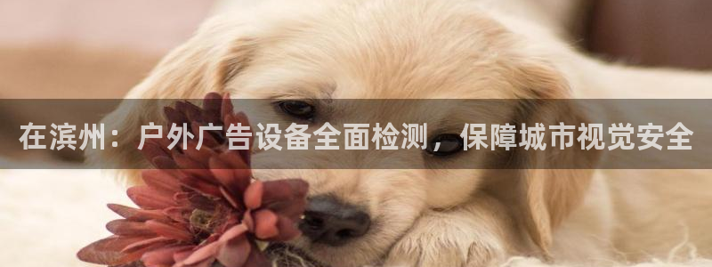 杏宇平台代理怎么赚钱快