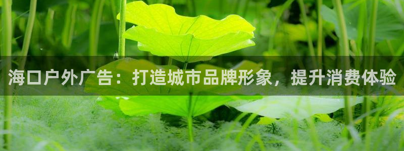 杏宇平台登陆