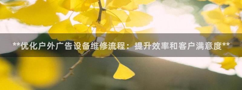 杏宇平台是什么：**优化户外广告设备维修流程：提升效率和客户满意度**