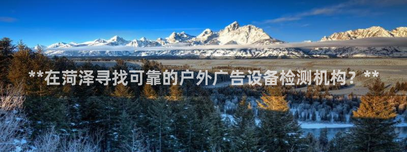 杏宇官方平台官网：**在菏泽寻找可靠的户外广告设备检测机构？**