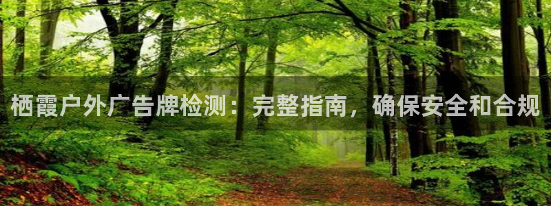 杏宇官方平台官网入口