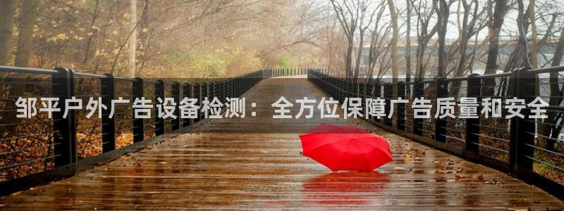 杏宇平台是什么