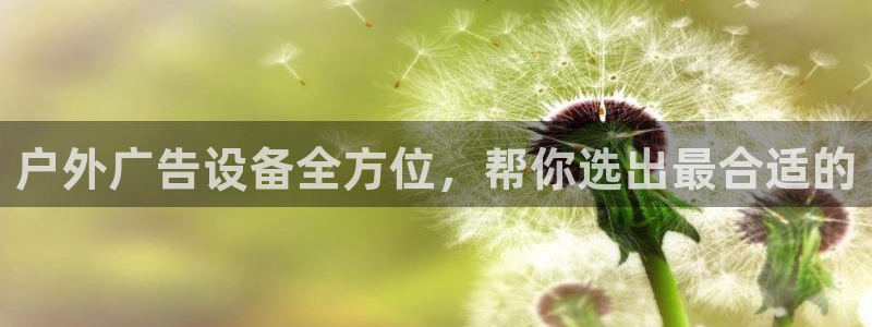 杏宇平台登陆