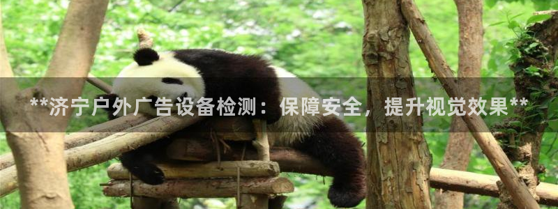 杏宇平台代理怎么样啊