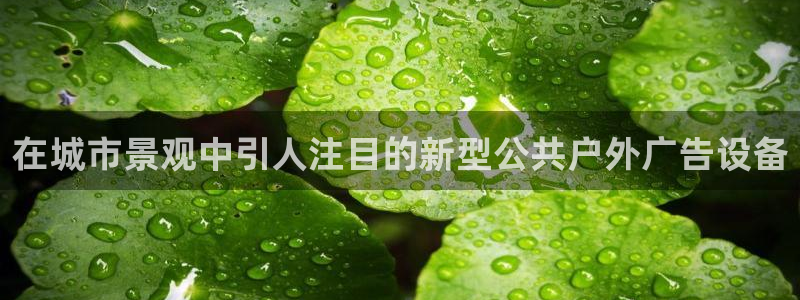 杏宇平台怎么样赚钱