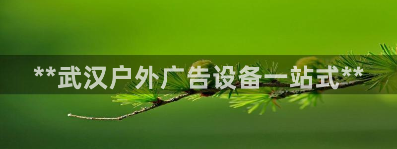 杏宇平台是什么：**武汉户外广告设备一站式**