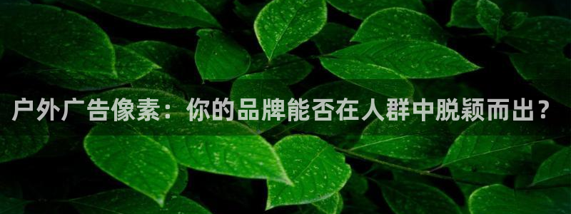 杏宇平台注册登录