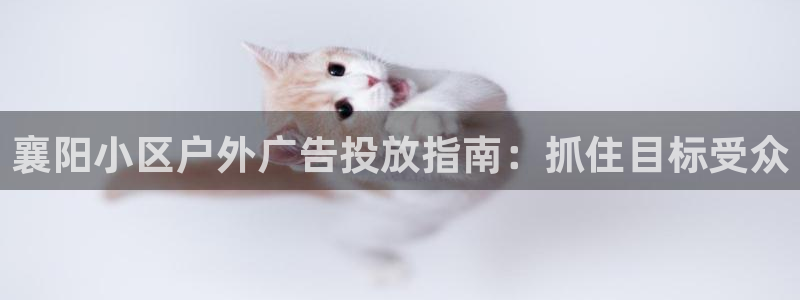 杏宇平台代理怎么赚钱的