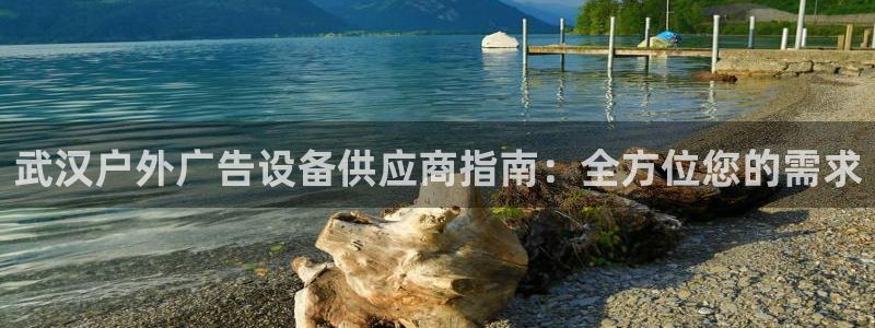 杏宇平台代理多少钱一次：武汉户外广告设备供应商指南：全方位您的需求