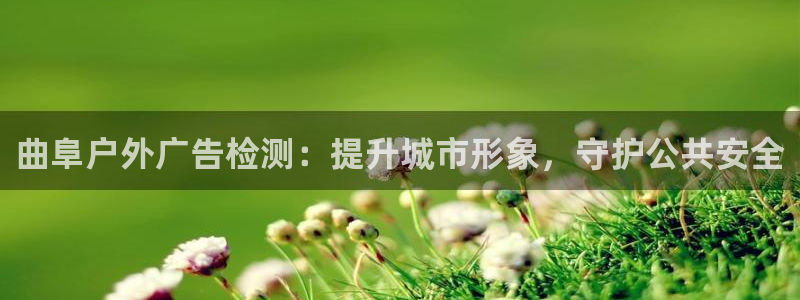 杏宇平台好吗：曲阜户外广告检测：提升城市形象，守护公共安全