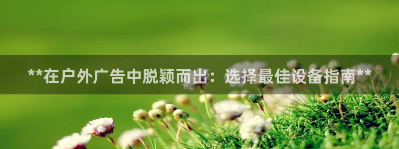 杏宇平台登录方法：**在户外广告中脱颖而出：选择最佳设备指南**