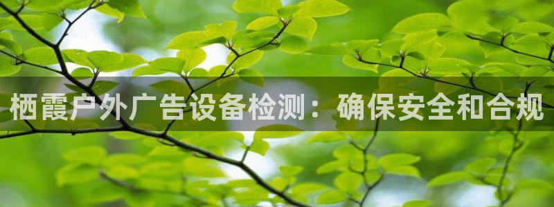 杏宇平台代理怎么样可靠吗