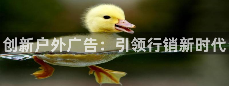 杏宇平台代理多少钱一次