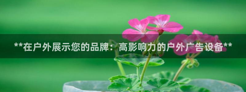 杏宇平台招商电话号码：**在户外展示您的品牌：高影响力的户外广告设备**