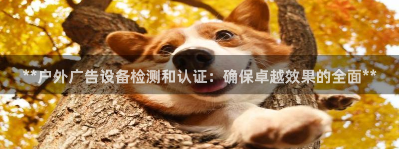 杏宇平台代理怎么赚钱快：**户外广告设备检测和认证：确保卓越效果的全面**
