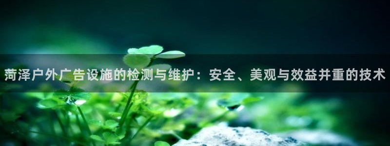 杏宇平台代理怎么样：菏泽户外广告设施的检测与维护：安全、美观与效益并重的技术