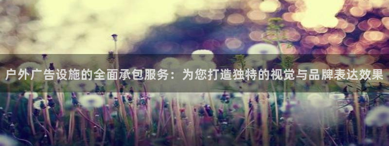 杏宇平台登录步骤图：户外广告设施的全面承包服务：为您打造独特的视觉与品牌表达效果