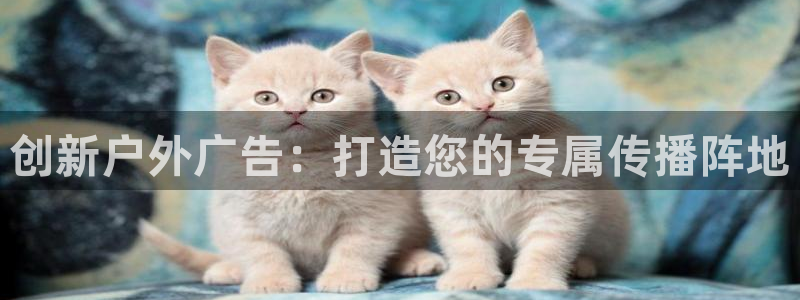 杏宇平台提现为什么这么久呢：创新户外广告：打造您的专属传播阵地