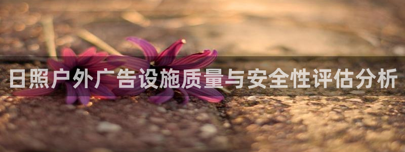 杏宇平台注册地址：日照户外广告设施质量与安全性评估分析