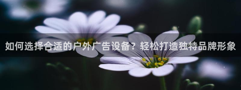 杏宇官方平台官网：如何选择合适的户外广告设备？轻松打造独特品牌形象