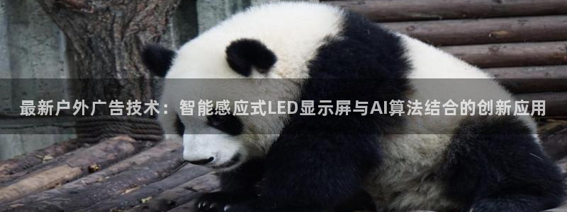 杏宇代理注册：最新户外广告技术：智能感应式LED显示屏与AI算法结合的创新应用