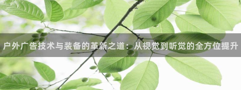 杏宇平台招商怎么样：户外广告技术与装备的革新之道：从视觉到听觉的全方位提升