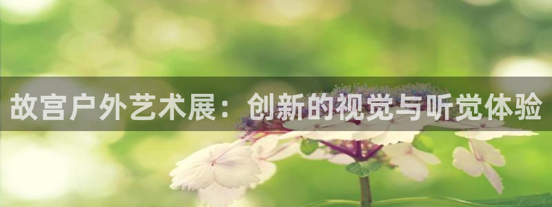 杏宇平台代理怎么样赚钱：故宫户外艺术展：创新的视觉与听觉体验