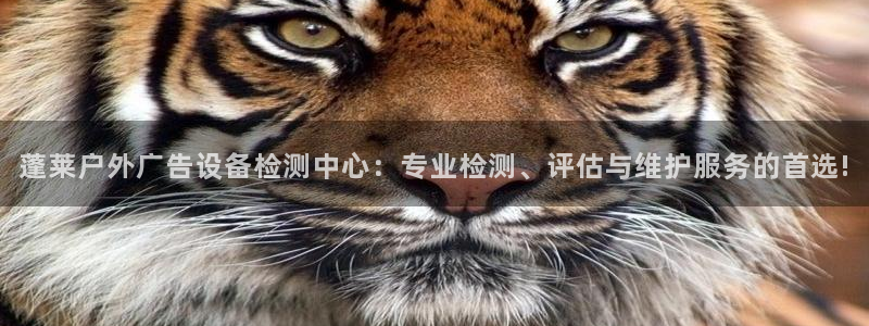 杏宇平台总代理电话：蓬莱户外广告设备检测中心：专业检测、评估与维护服务的首选!