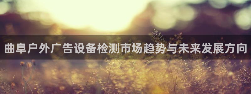 杏宇平台登录步骤图：曲阜户外广告设备检测