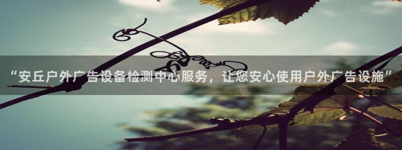 杏宇平台客服：“安丘户外广告设备检测中心服务，让您安心使用户外广告设施”