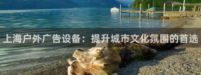 杏宇平台是什么：上海户外广告设备：提升城