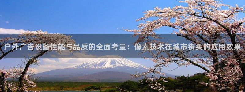 杏宇平台怎么样：户外广告设备性能与品质的全面考量：像素技术在城市街头的应用效果