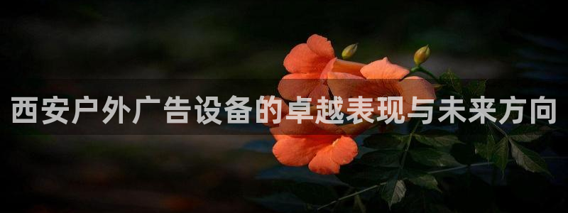 杏宇平台怎么样：西安户外广告设备的卓越表现与未来方向