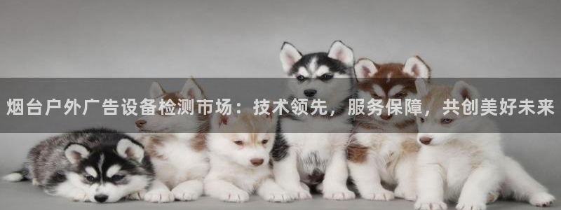 杏宇平台是什么：烟台户外广告设备检测市场：技术领先，服务保障，共创美好未来