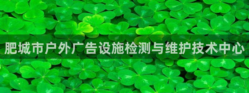 杏宇平台登录步骤：肥城市户外广告设施检测与维护技术中心