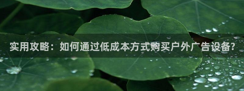 杏宇平台代理怎么赚钱的：实用攻略：如何通过低成本方式购买户外广告设备?