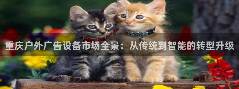 杏宇平台注册登录：重庆户外广告设备市场全景：从传统到智能的转型升级