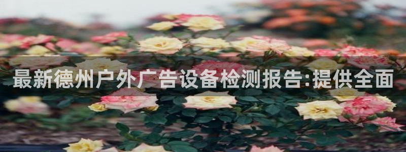 杏宇平台注册地址在哪里：最新德州户外广告设备检测报告:提供全面