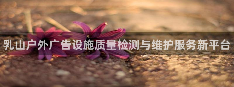 杏宇平台登录步骤图：乳山户外广告设施质量检测与维护服务新平台