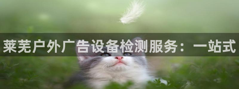 杏宇平台怎么样赚钱：莱芜户外广告设备检测服务：一站式