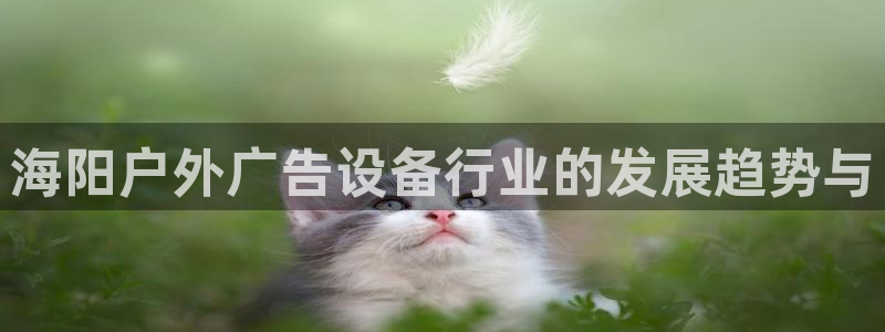 杏宇平台怎么样知乎：海阳户外广告设备行业的发展趋势与