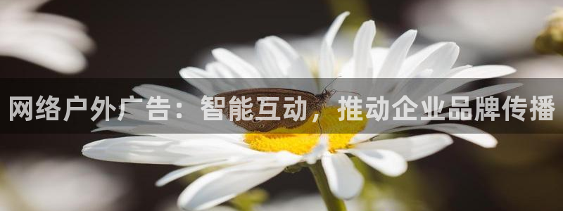 杏宇平台招商怎么样：网络户外广告：智能互