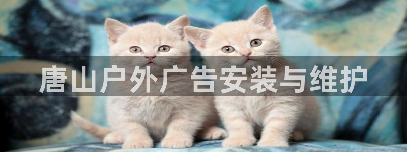 杏宇平台代理怎么样：唐山户外广告安装与维护