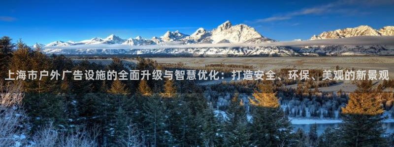 杏宇平台测速链接：上海市户外广告设施的全面升级与智慧优化：打造安全、环保、美观的新景观