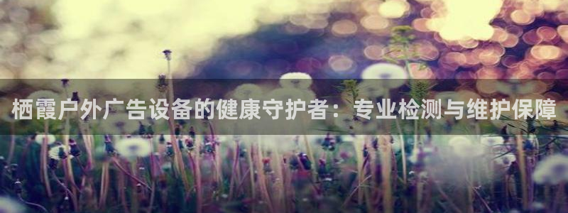 杏宇平台代理怎么赚钱