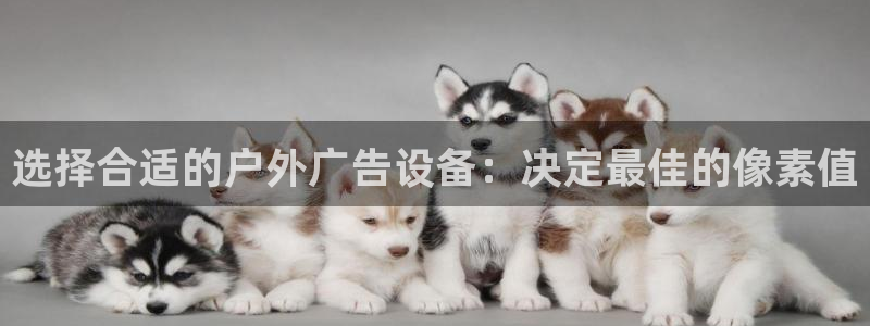 杏宇官方平台官网：选择合适的户外广告设备：决定最佳的像素值