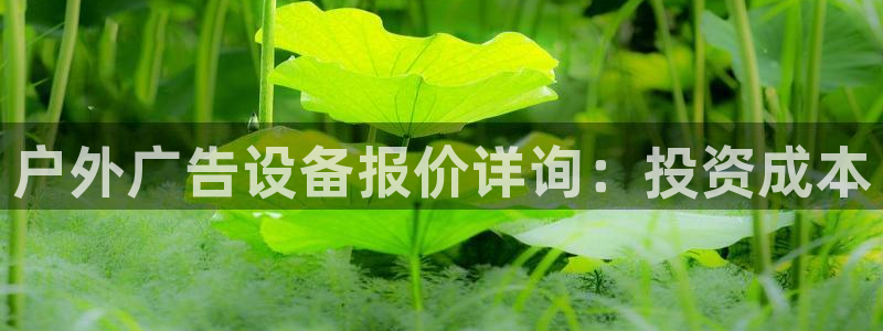 杏宇平台代理怎么赚钱