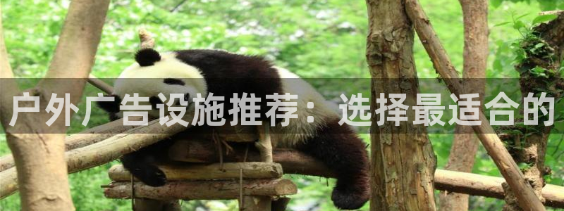 杏宇平台测速链接：户外广告设施推荐：选择最适合的