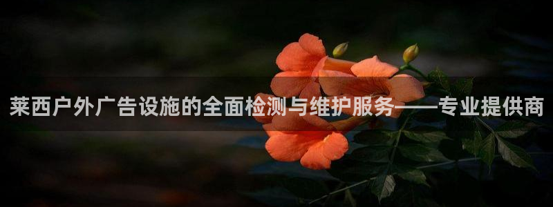 杏宇平台代理多少钱：莱西户外广告设施的全面检测与维护服务——专业提供商