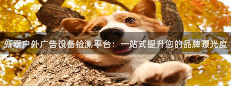 杏宇平台主管：新泰户外广告设备检测平台：一站式提升您的品牌曝光度